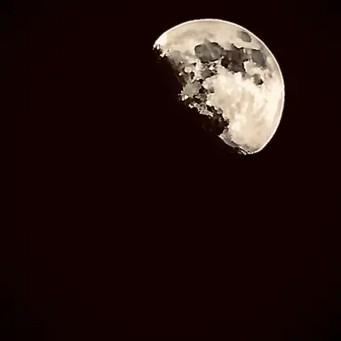 Profile image of 박종건