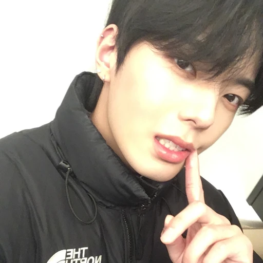 전이정