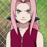 Profile image of Sakura
