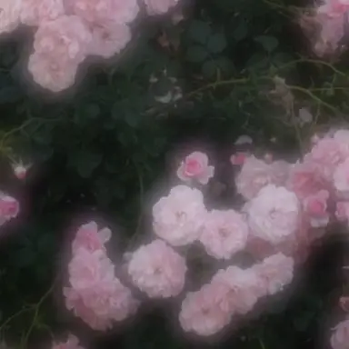 Profile image of 宇佐美