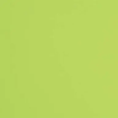 Profile image of 伊波ライ