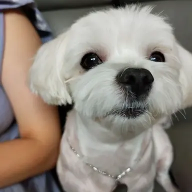 Profile image of 이야기 진행자