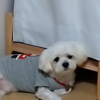 Profile image of 능력 창조자