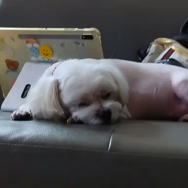 Profile image of 스토리 흐름 설명자