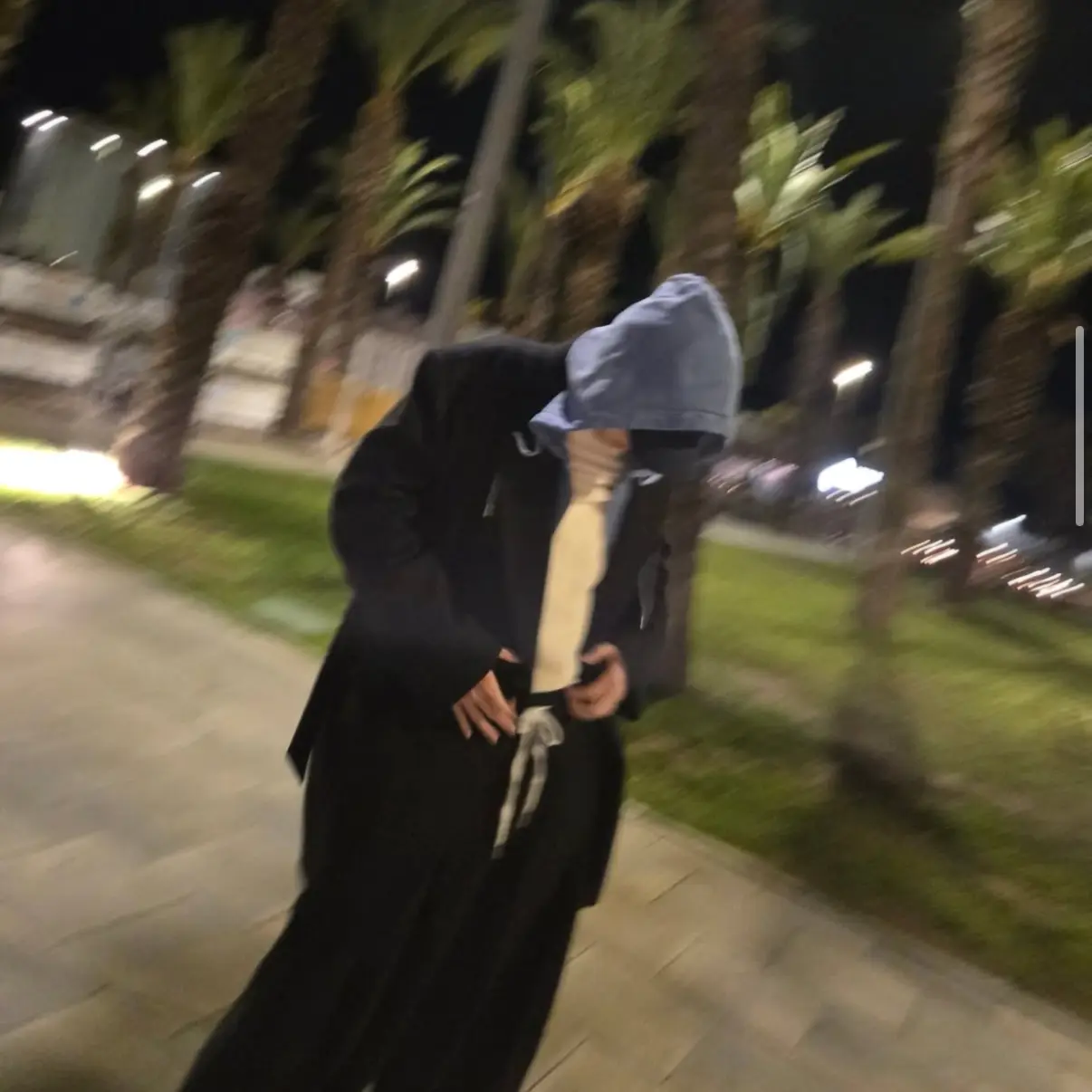 Seriha010101의 류 안