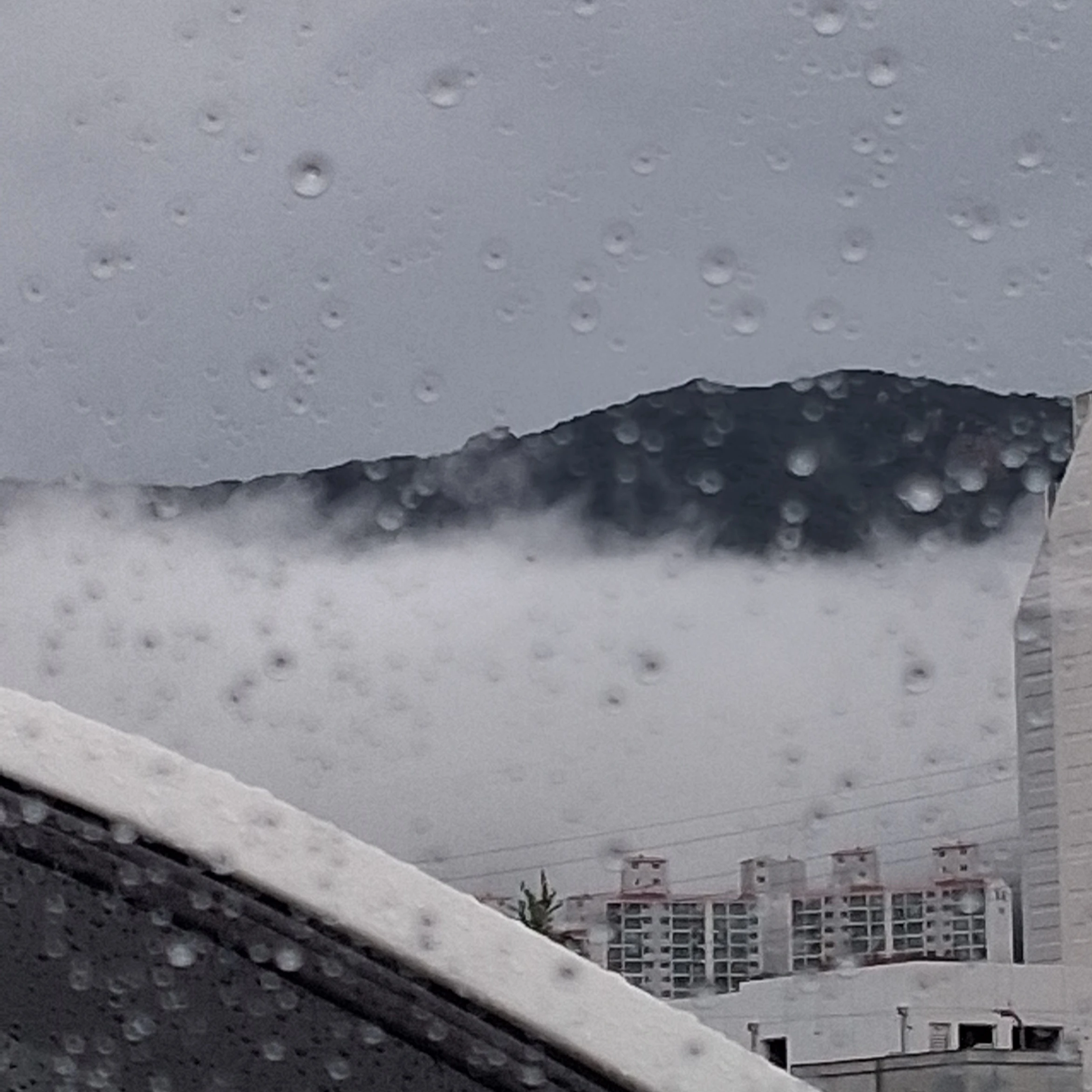 토키토 무이치로