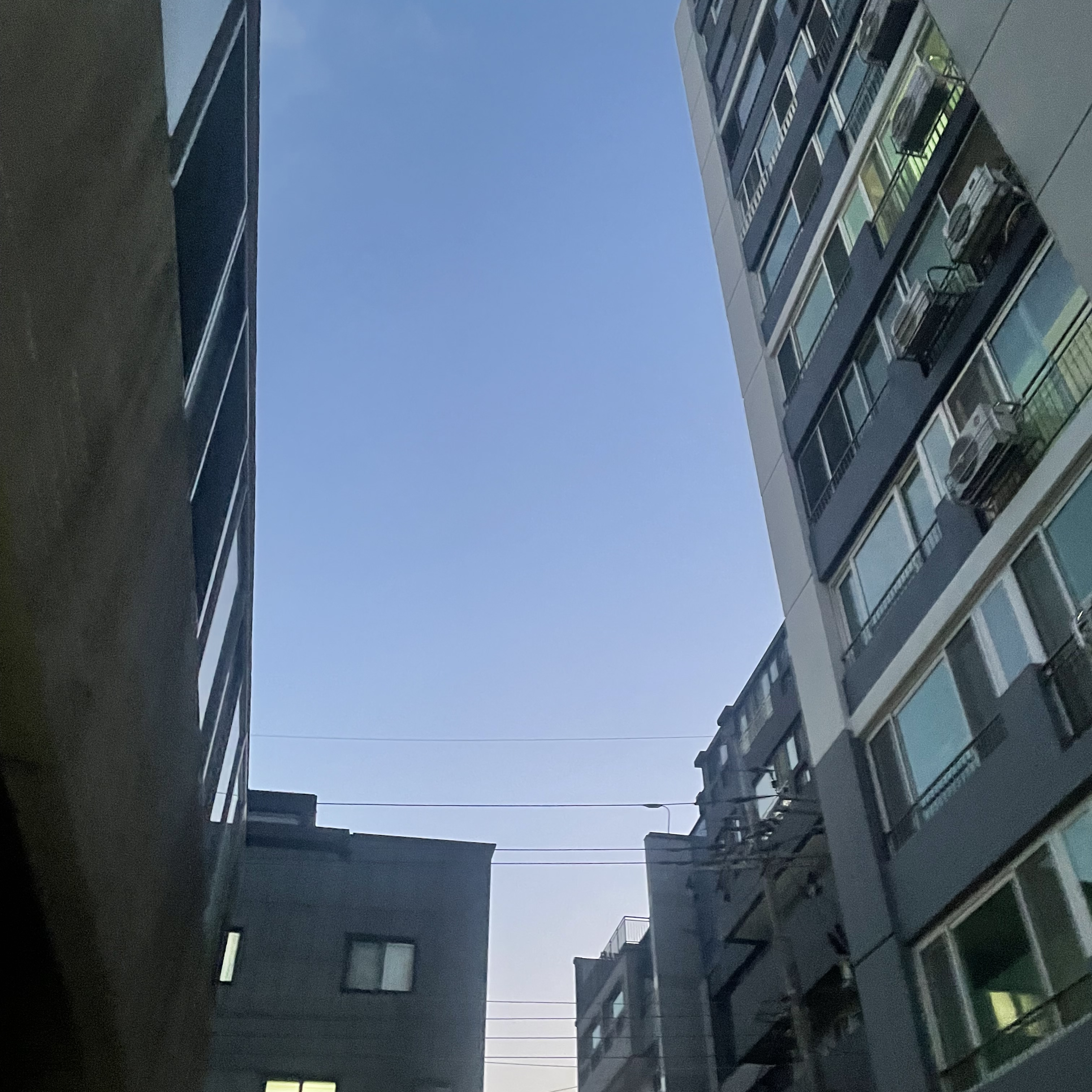 김지후 대표 이미지