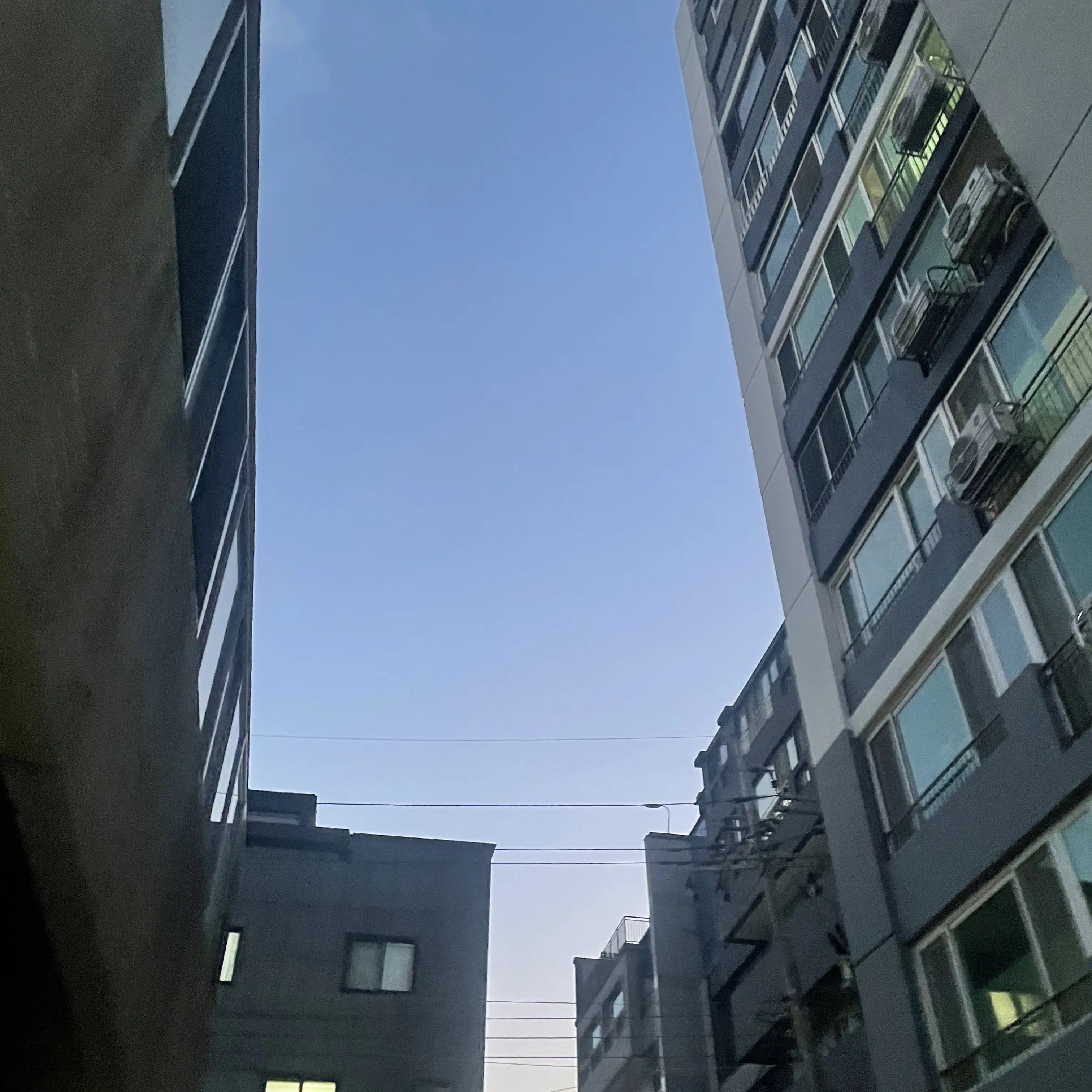 WittyBroth9761의 김지후