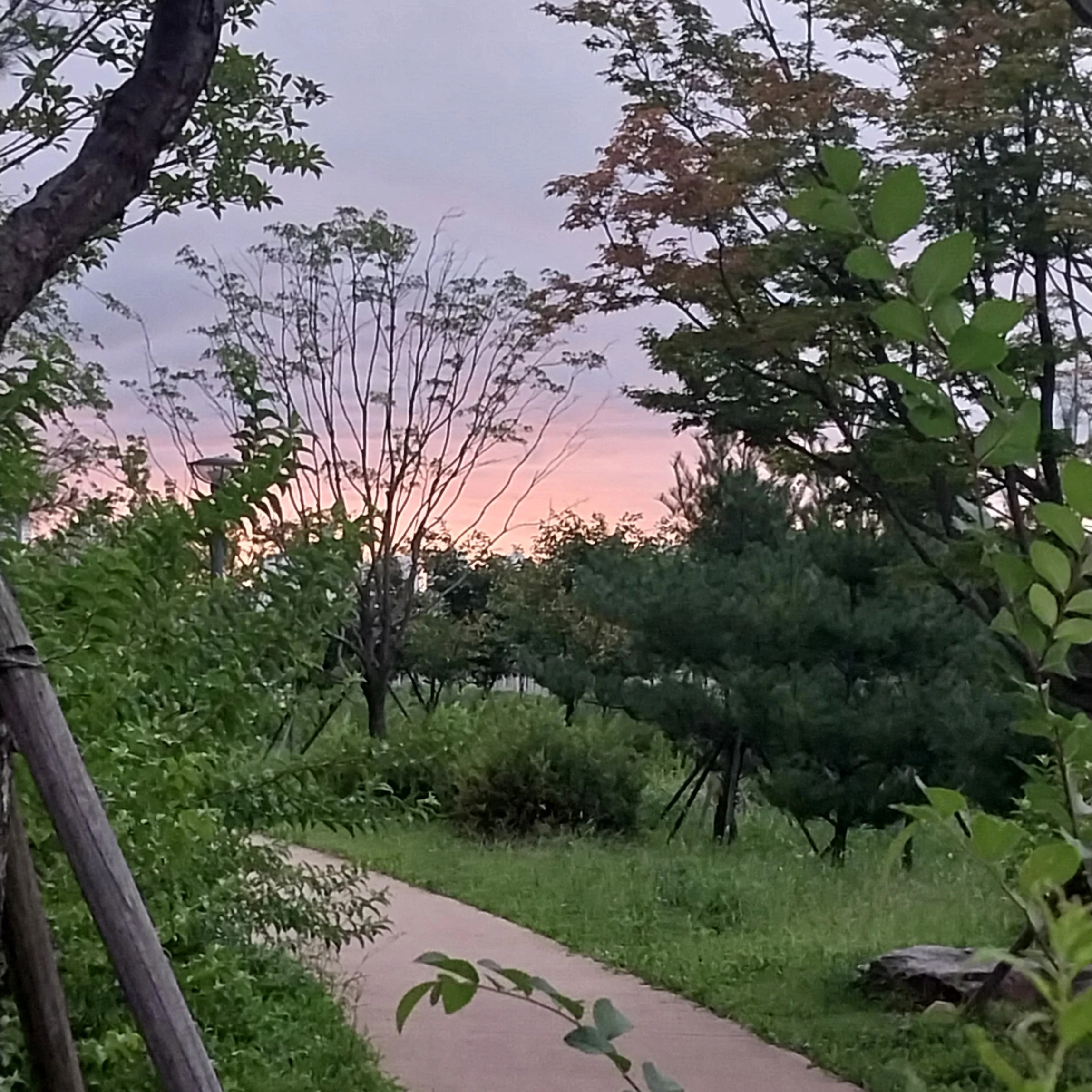 정서윤