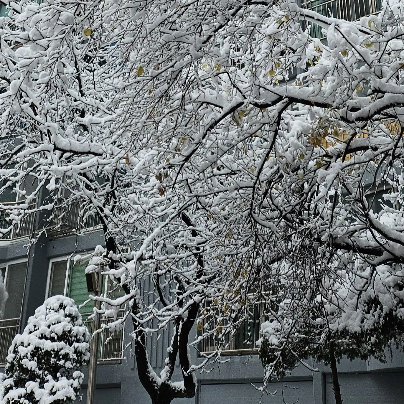 LaxestEgret7337의 너였으면 좋겠어