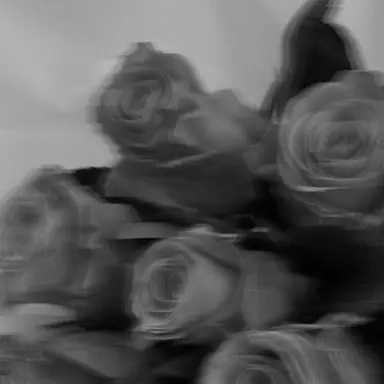 Profile image of バンチャン