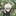 고죠사토루
