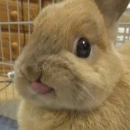 민호