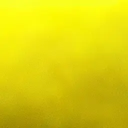 Profile image of 김일영