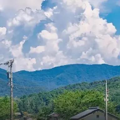 Profile image of 동영배