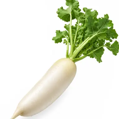 Profile image of コン