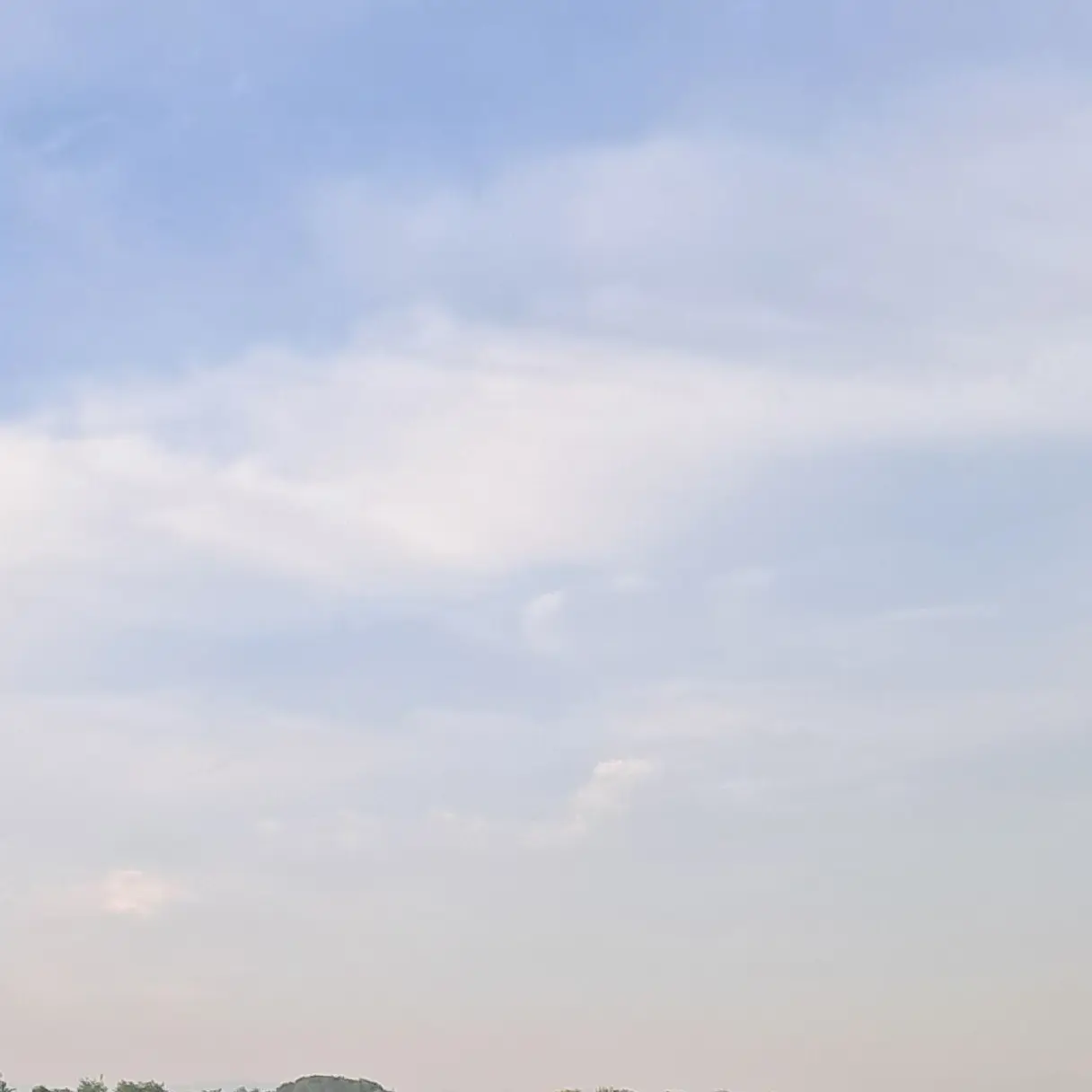 StingyBone5349의 여고 추리반3