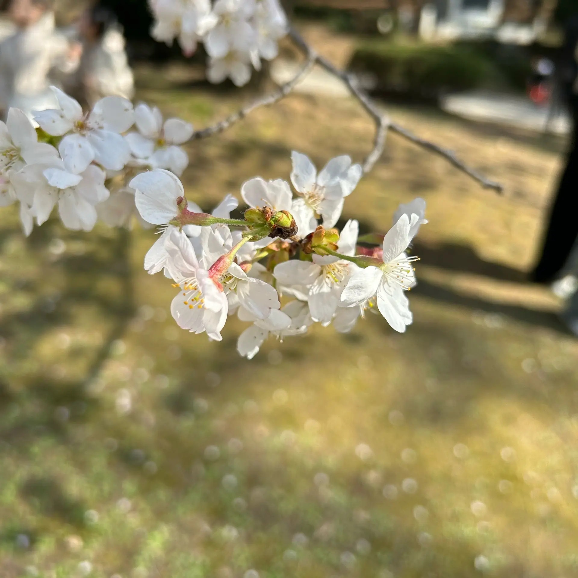 KJA1204의 김건우