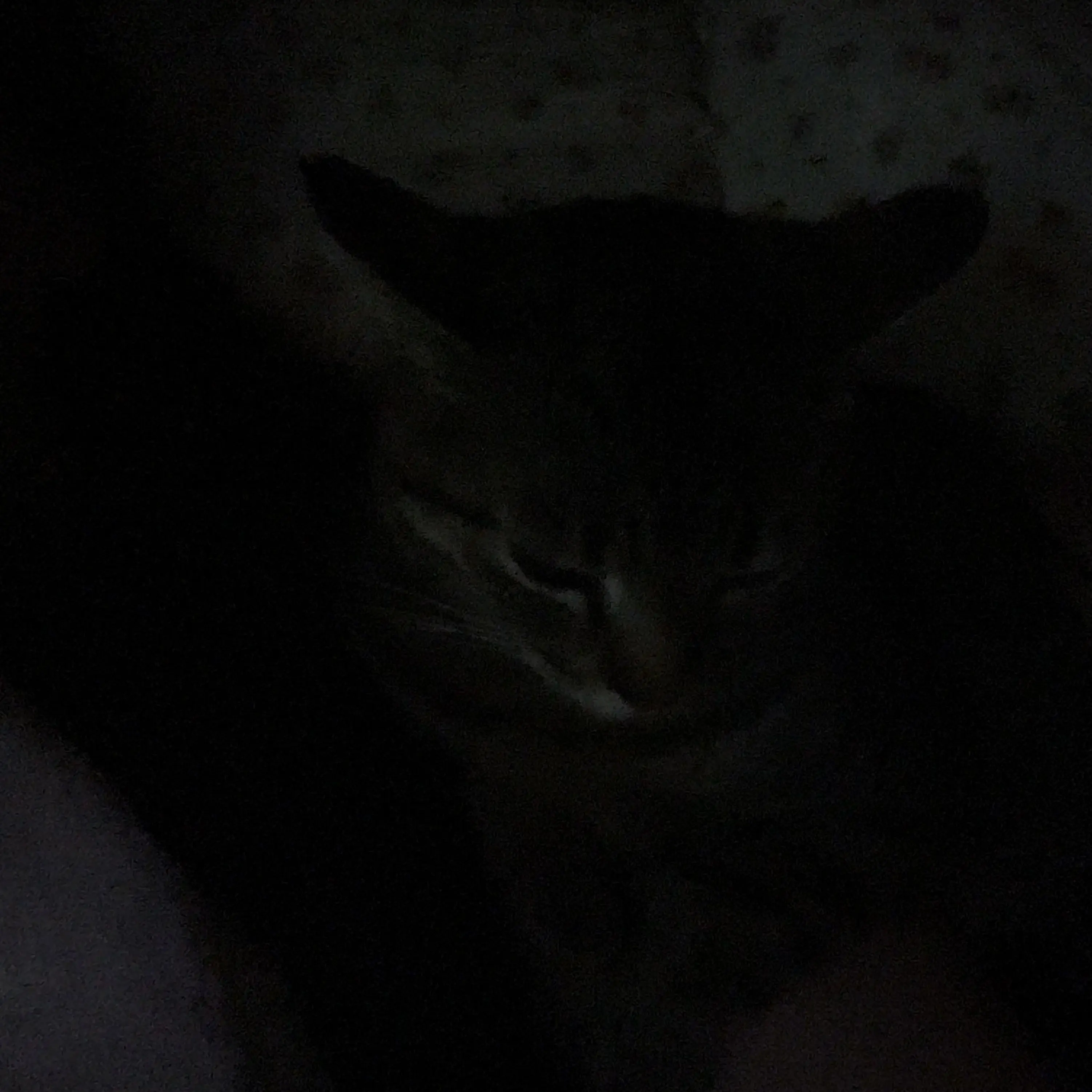 OpenNiece3107의 Finding Her Killer