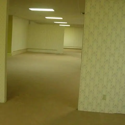 StingyGolf8417의 The backrooms