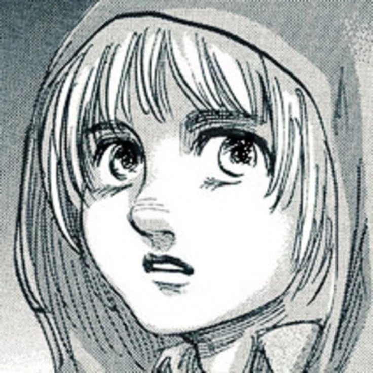 アルミン・アルレルト - 제타