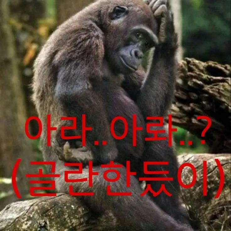 O1wol의 캐시받으려구