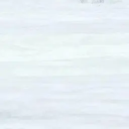 Profile image of シャークん