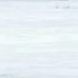 BadStep8682의 過ち