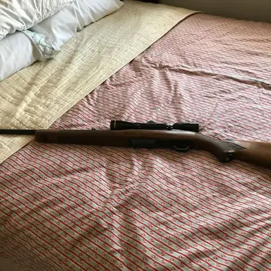 Profile image of 낸시 윌러