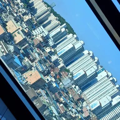Profile image of 이로하