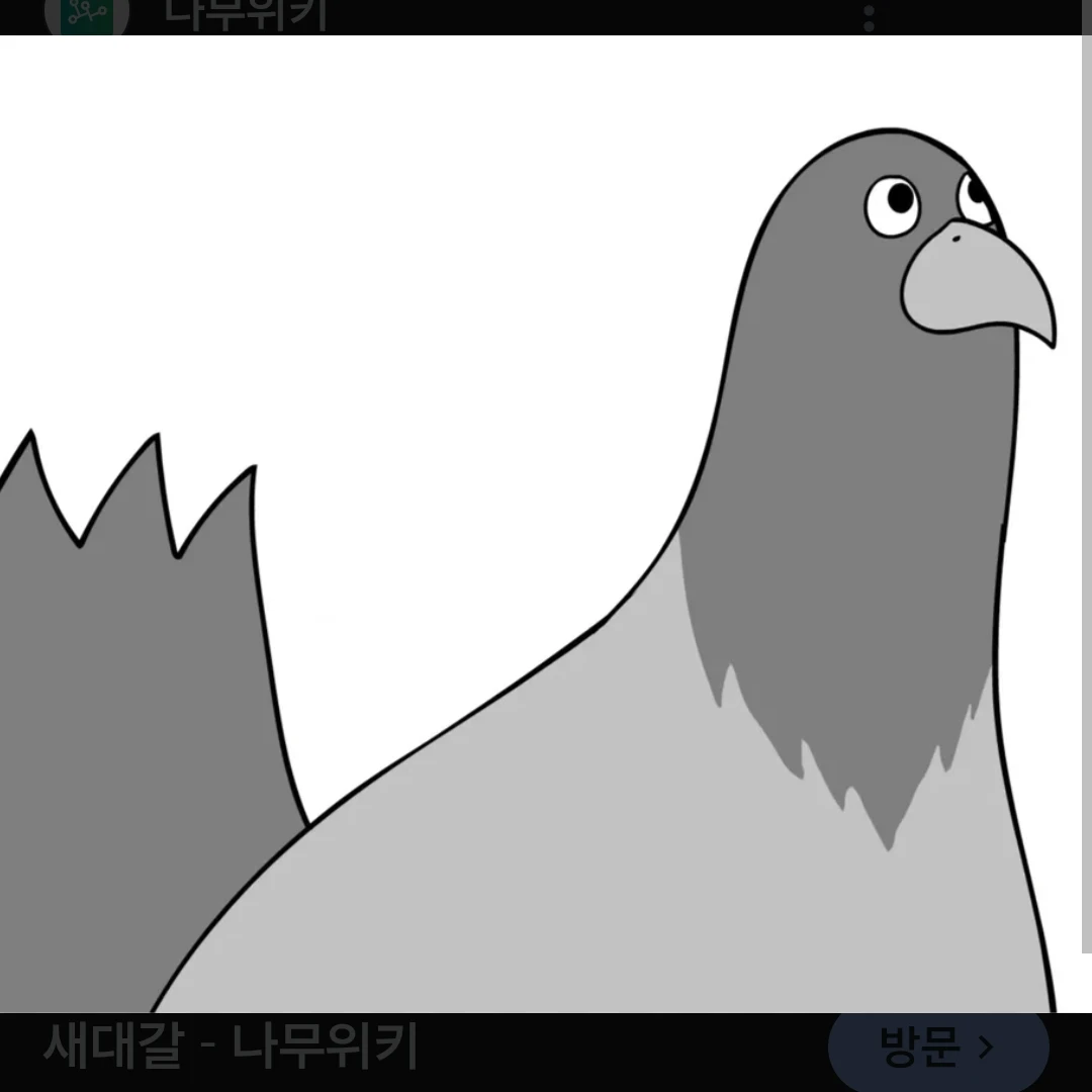 새대갈