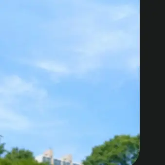 Profile image of 유기사     당신