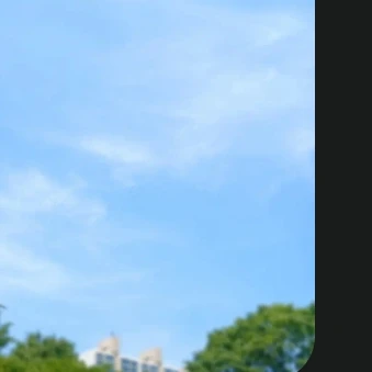 유기사     당신