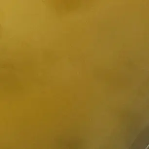 Profile image of 이민호