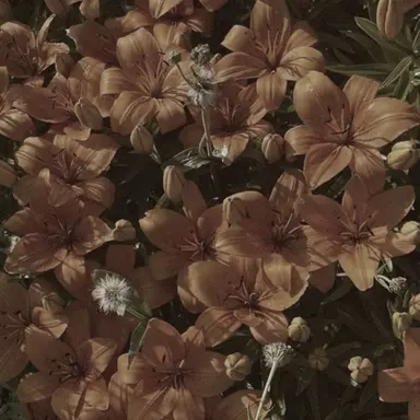 Profile image of 백석주