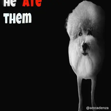 Profile image of -