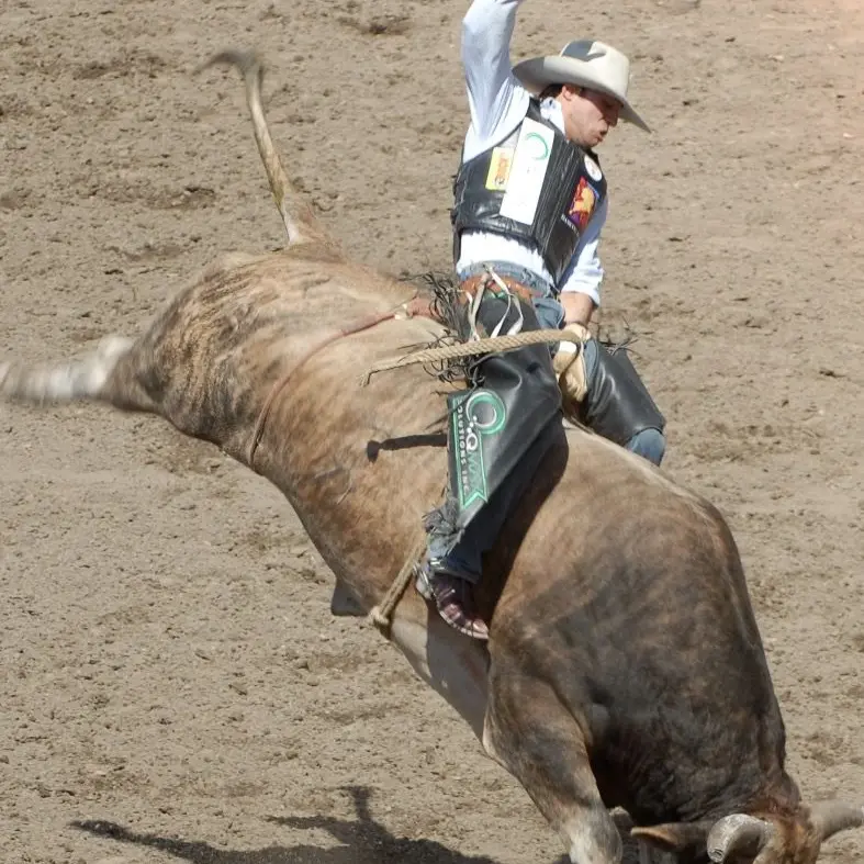 WaryFork9942의 Rodeo Event!!