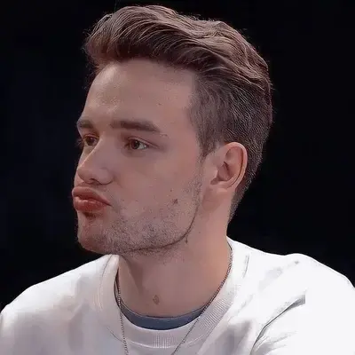 NearHip4595의 Liam Payne