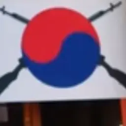 FeebleBus8753의 총기 합법 화 가 된 대한민국