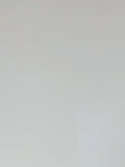 LeanerFlood2263의 성찬원