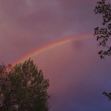 Profile image of 잠뜰