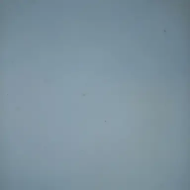 Profile image of 최용감
