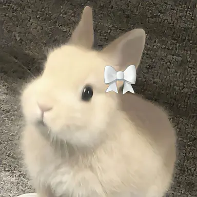 Profile image of 한유진