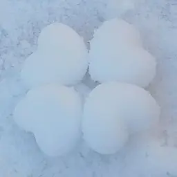 Profile image of 여우