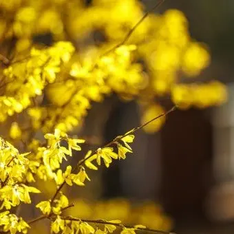 Profile image of 각별