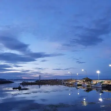 Profile image of 라더