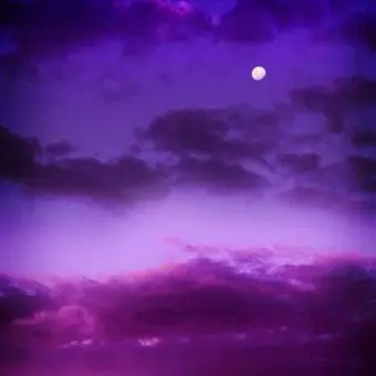 Profile image of 필립