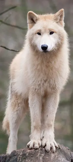 Profile image of Seungmin