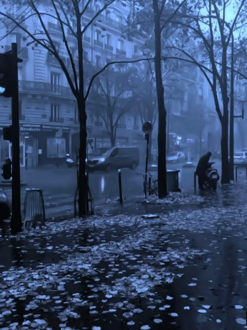 _174의 めすがき