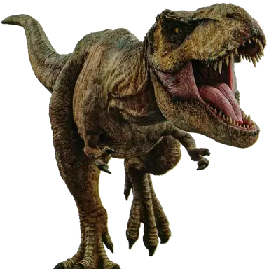 Profile image of Rexy